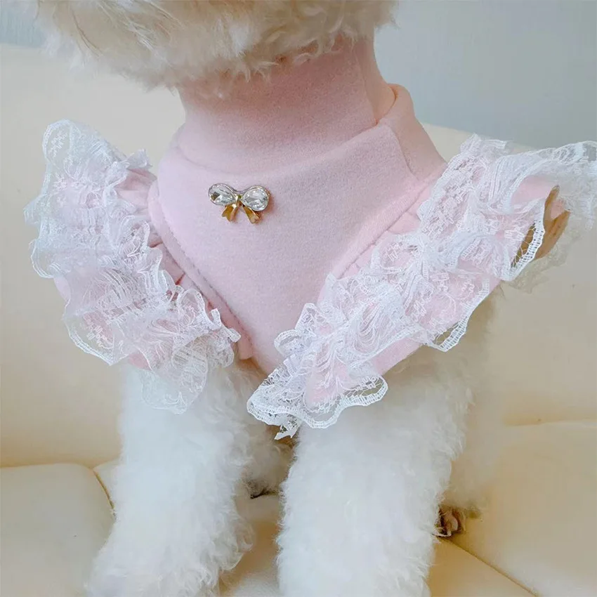 Lace Teddy Lingerie - Roupas para animais de estimação outono